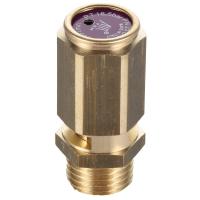 Клапан предохранительный 1" 16,1 бар 319-423/818150931